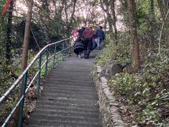 -宁波五龙潭景区