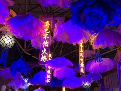 -海合安青岛极地海洋公园