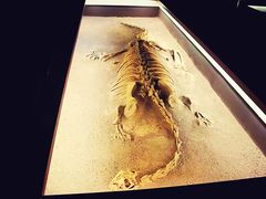 -世界恐龙谷景区