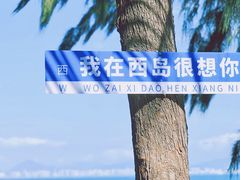 -三亚西岛海洋文化旅游区