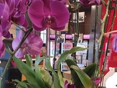 -鼎泰丰(SKP店)
