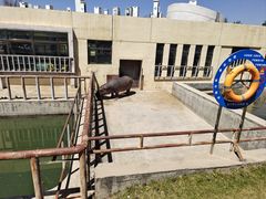 -青藏高原野生动物园