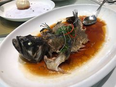 -箸福·夜上海(月牙湖公园店)