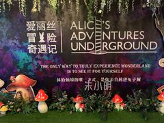 -爱丽丝冒险奇遇记