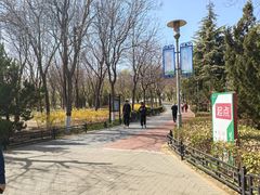 -大兴滨河森林公园