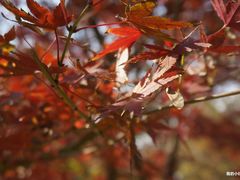 -杭州城北体育公园