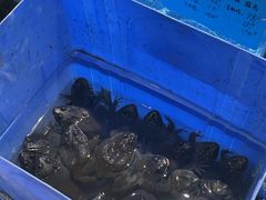 -火龙堂·风味民间菜(文一路店)
