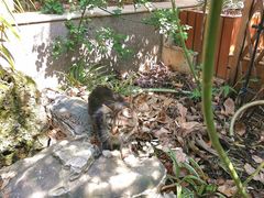 -谷咖啡·鲜花绿植花园餐厅