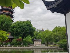 -红梅公园