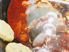 -鸽子刘铁锅炖鱼(劲松店)