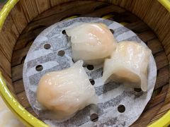 水晶虾饺-肥佬夜茶(早茶·西乡店)