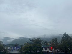 -猪脑壳凉面(武陵源店)