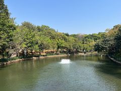 -深圳龙潭公园