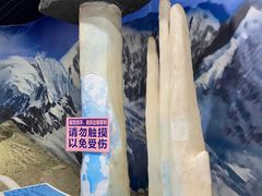 -中国第四纪冰川遗迹陈列馆