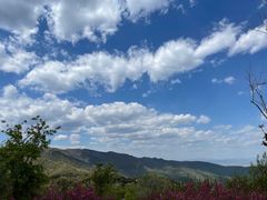 -北京西山国家森林公园