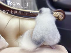 -龙猫仔乐园(惠福东路店)