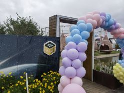 -小蜜蜂农场(凯德七宝购物广场店)