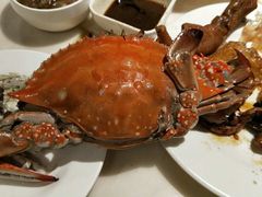 -星伦多 自助料理(圆融店)
