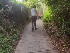 -南丫岛