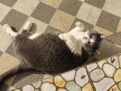 -云南滇池花园国际大酒店温泉