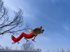 -秦皇岛野生动物园