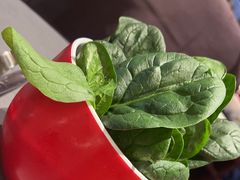 -洞子口重庆鲜货火锅(楚翘城旗舰店)