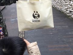 -成都大熊猫繁育研究基地