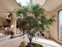 -白茶原·一片叶子