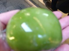 -沈大成(城隍庙店)