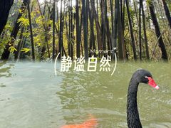 -森波拉奇妙世界
