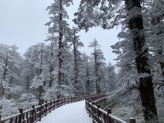 -瓦屋山景区