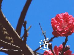 -广西龙虎山风景区