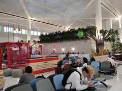 -纽瓦克自由国际机场