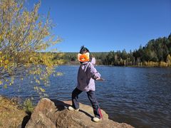 -五营红松林海景区