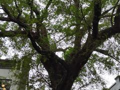 -文儒九号·闽菜馆(三坊七巷店)