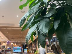 -云海肴·汽锅鸡·云南菜(广安门天虹店)