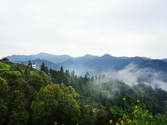 -新安江山水画廊风景区