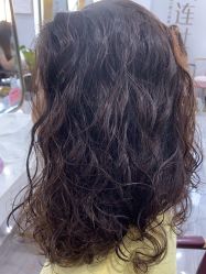 -镁连社·美联社