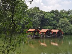 -侨美·唐荔园·40年地道粤菜