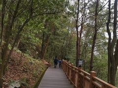 -神光山国家森林公园