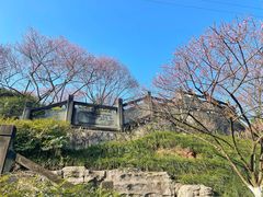 -重庆彩云湖湿地公园