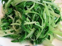 鸡毛菜-集贤门·徽菜(福田店)