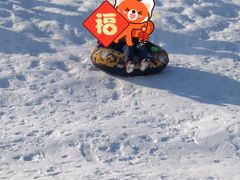 -绿野森林乐园冰雪季