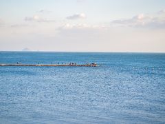 -青岛第二海水浴场
