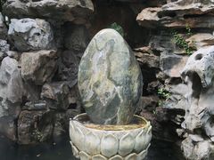 -上海醉白池公园