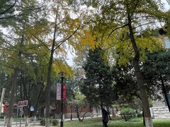 -山东大学(趵突泉校区)