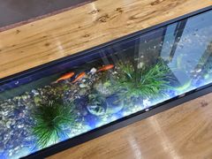 -红糖水都·女生特炖·中式滋补炖(北辰店)