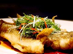 -上海汾阳花园酒店