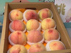 -老袁家蜜桃农场·阳山水蜜桃