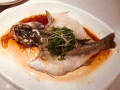 清蒸鲈鱼-煲煲好(朝阳门店)